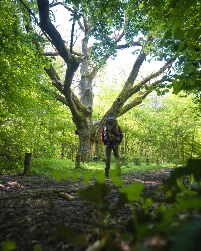 Forêt régionale de Rosny_Rosny-sur-Seine