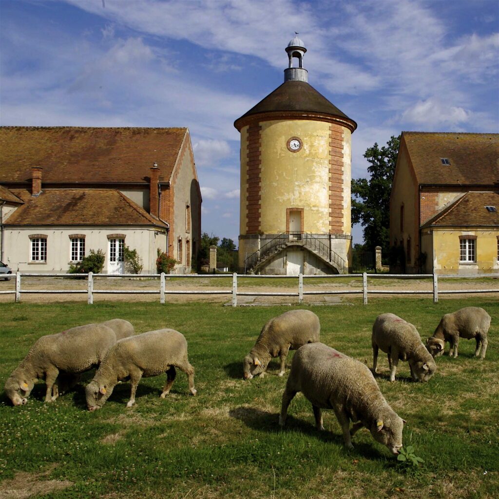 Bergerie Nationale