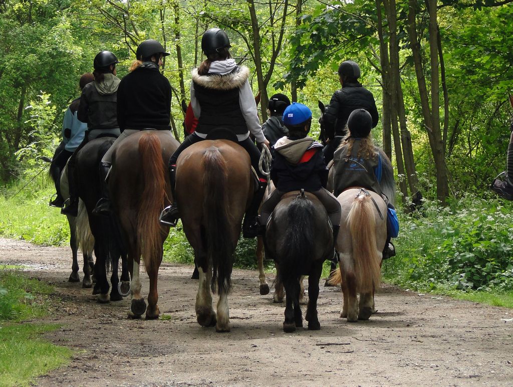 Horse Holiday France