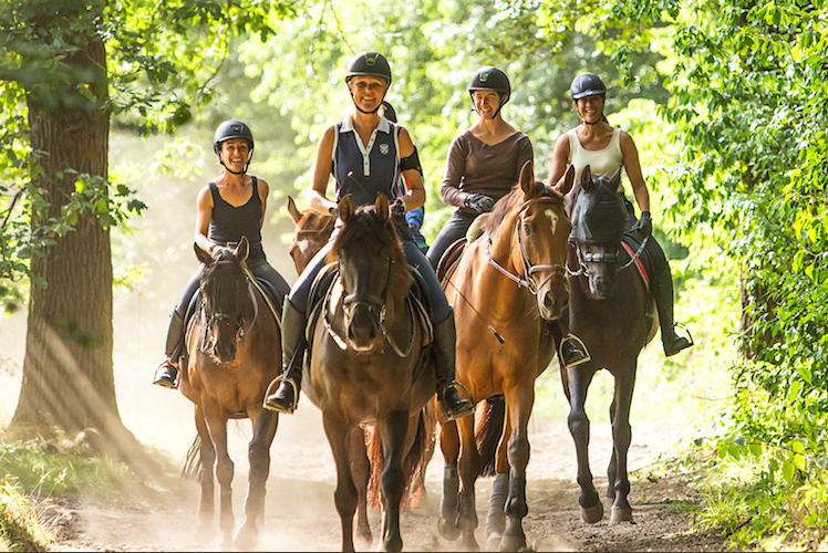 Horse Holidays Maisons Laffitte