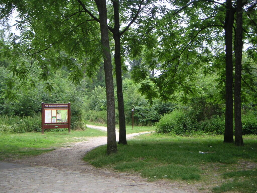 Forêt domaniale de Saint Germain