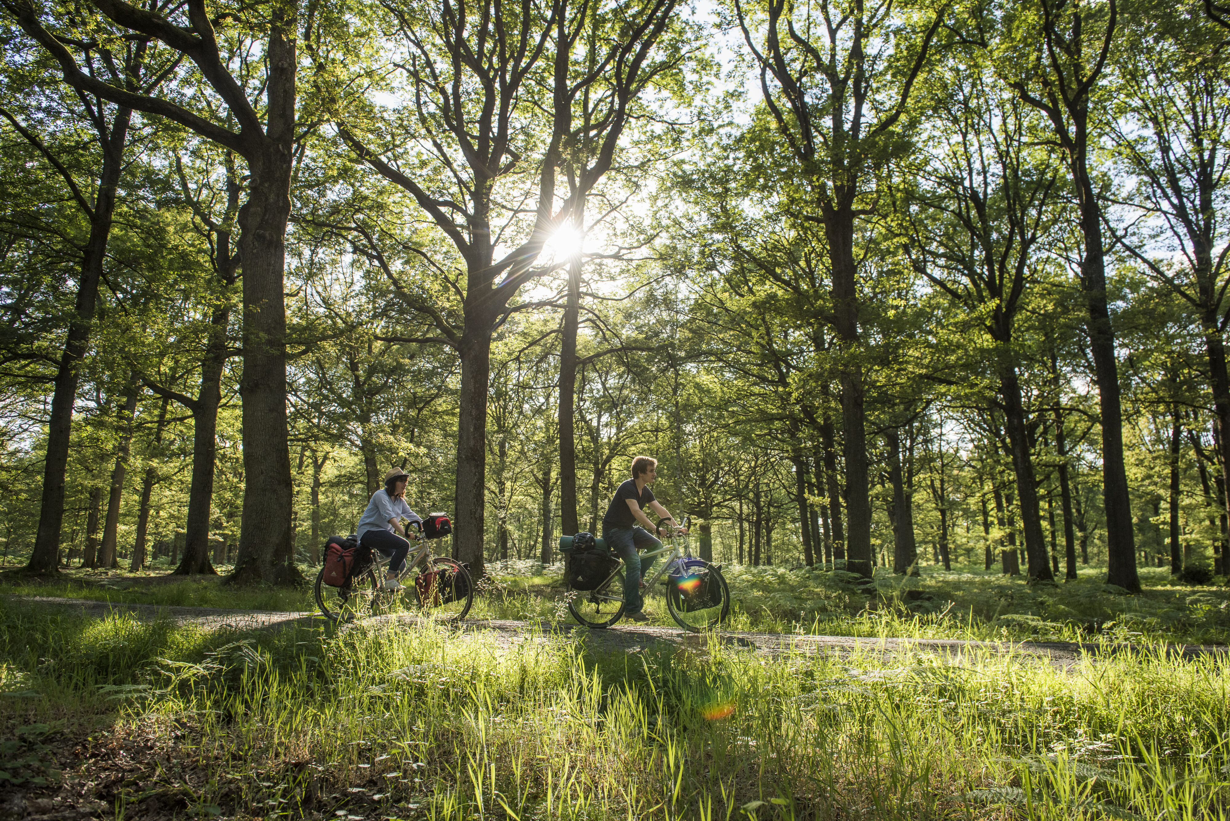 vallée de Chevreuse en vélo ©D.Darrault