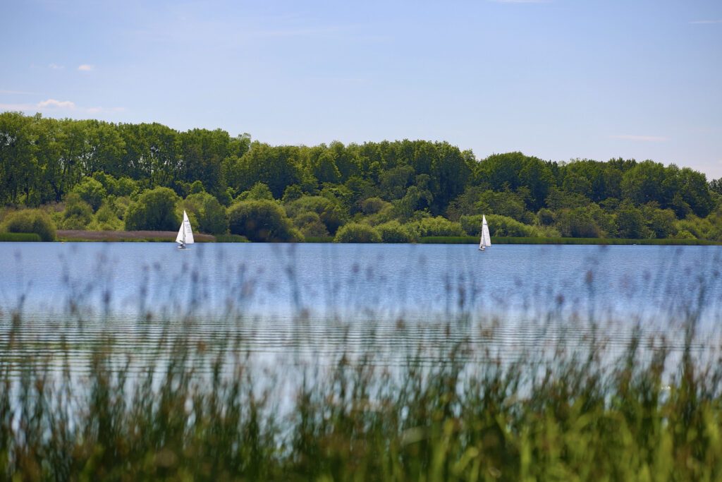 Sports nautiques à l'ile de loisirs de Saint-Quentin-en-Yvelines