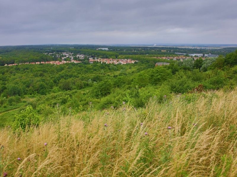 Panorama depuis la colline d'Elancourt