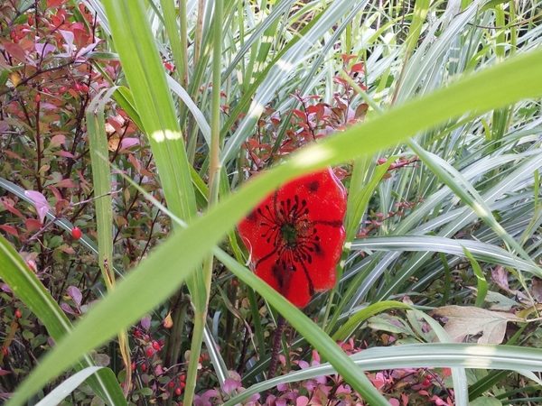 jardins familiaux des Petits-Bois 