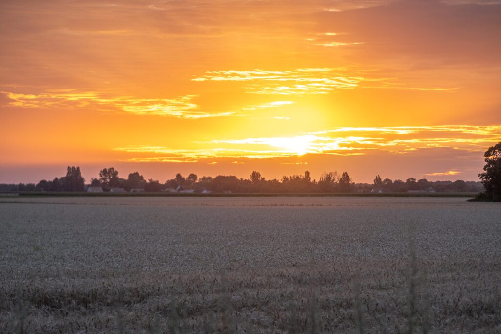 Lever de soleil sur la campagne yvelinoise