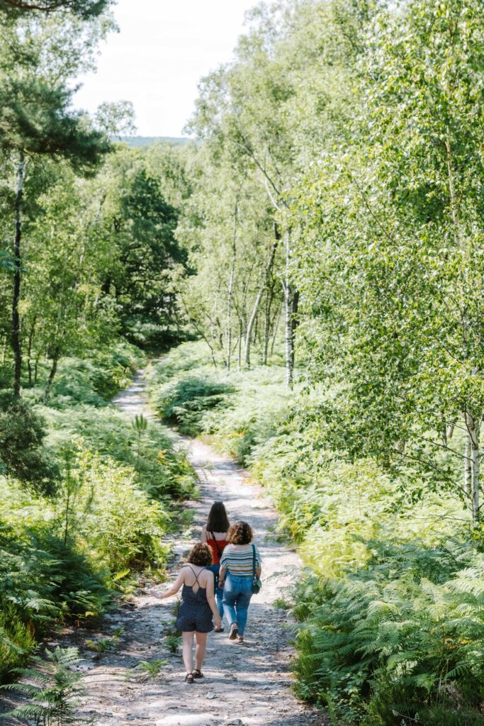 Forêt de Rochefort