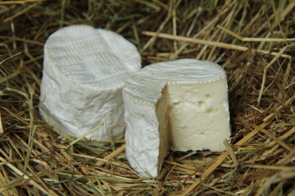 Fromage petit cru de la Ferme de la Tremblaye