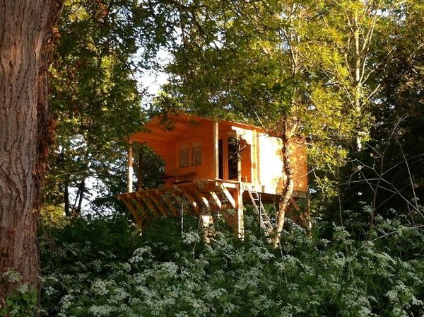 Cabane dans les arbres à Moisson ©CD78