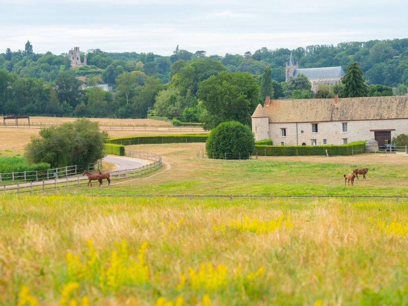 Montfort l'Amaury, vue sur la campagne