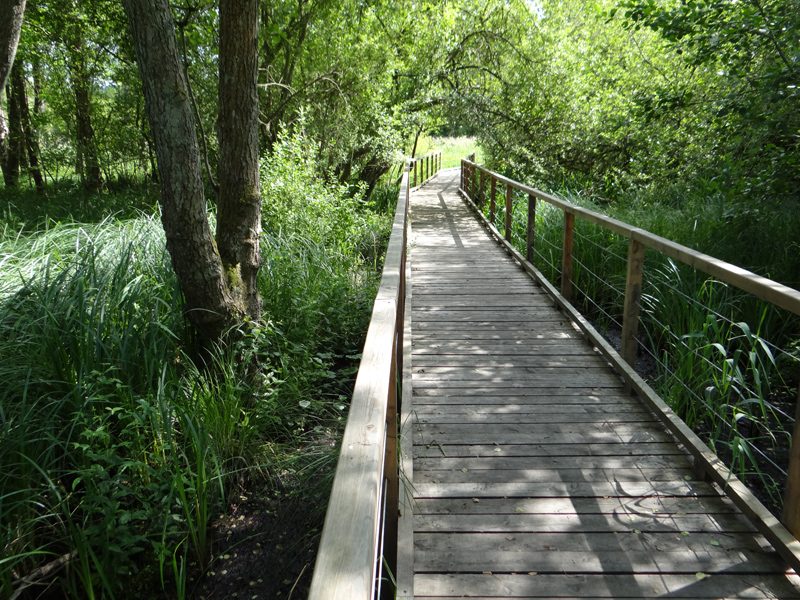 Sentier de Maincourt  ©CD78