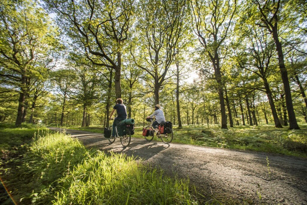 Vallee de Chevreuse - Veloscenie