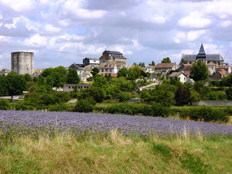 Vue de la croix aux pelerins - Paysage Houdan