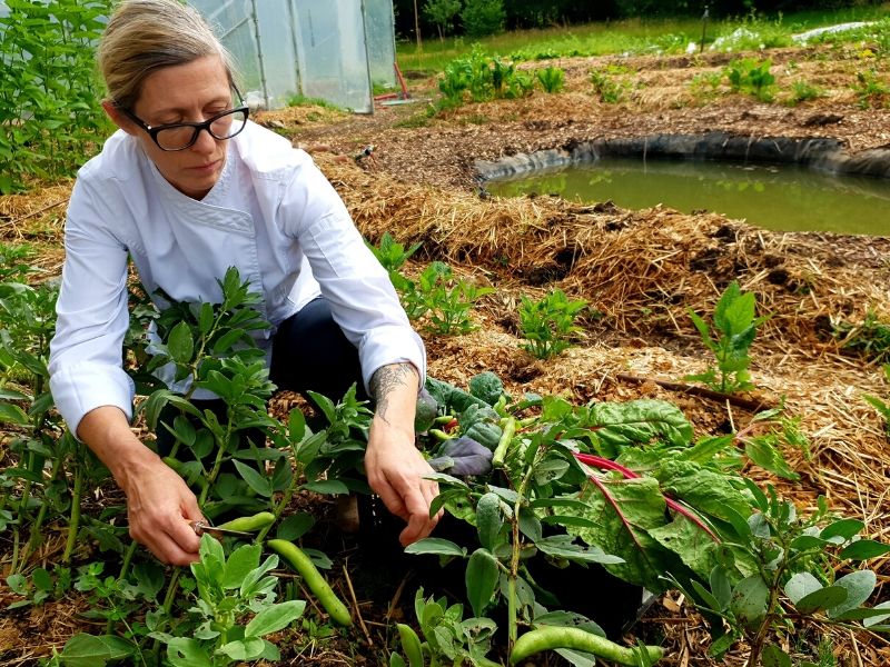 Cheffe Cybèle au potager
