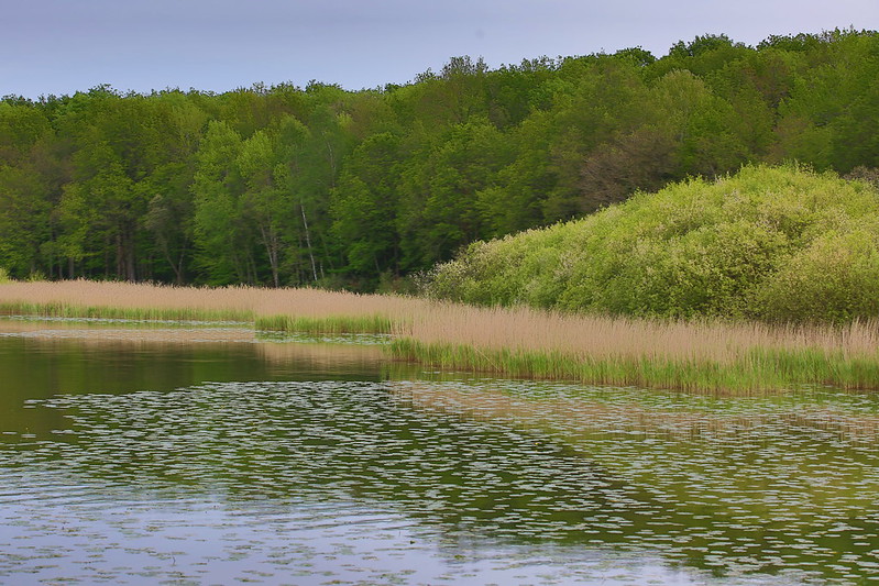 Etangs de Hollande