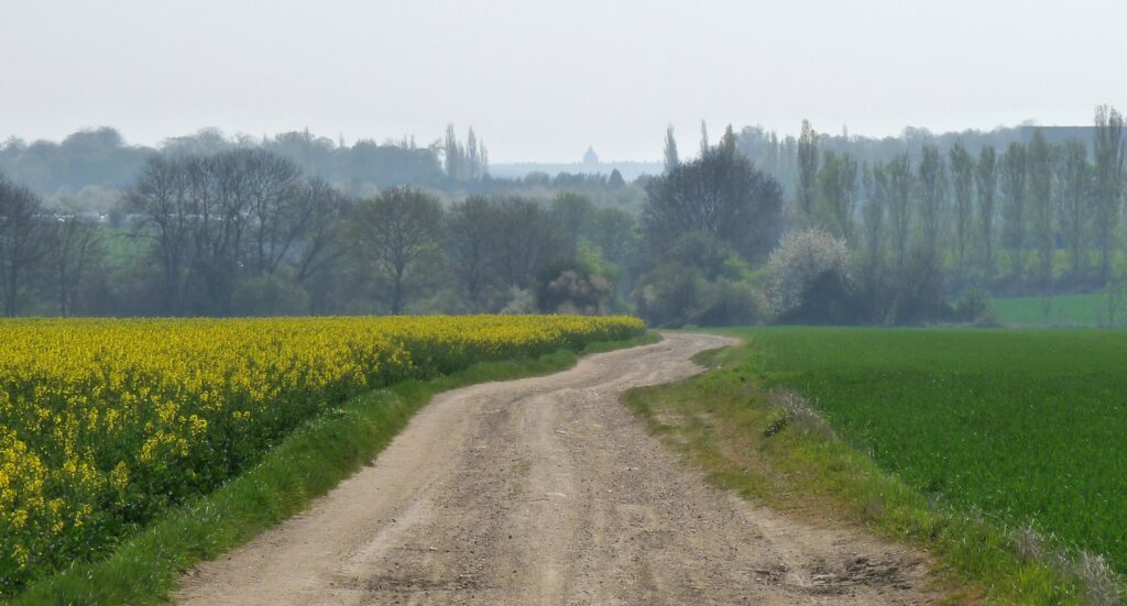 Allée Royale de Villepreux