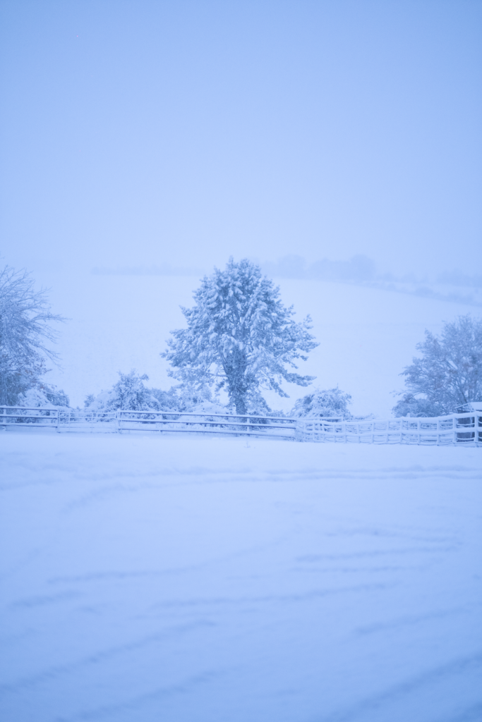 Neige à Magnanville en hiver