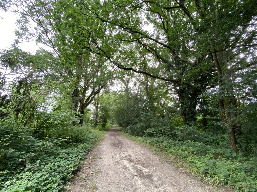 Visite guidée de l’ancienne voie ferrée Paris-Chartres_Saint-Arnoult-en-Yvelines