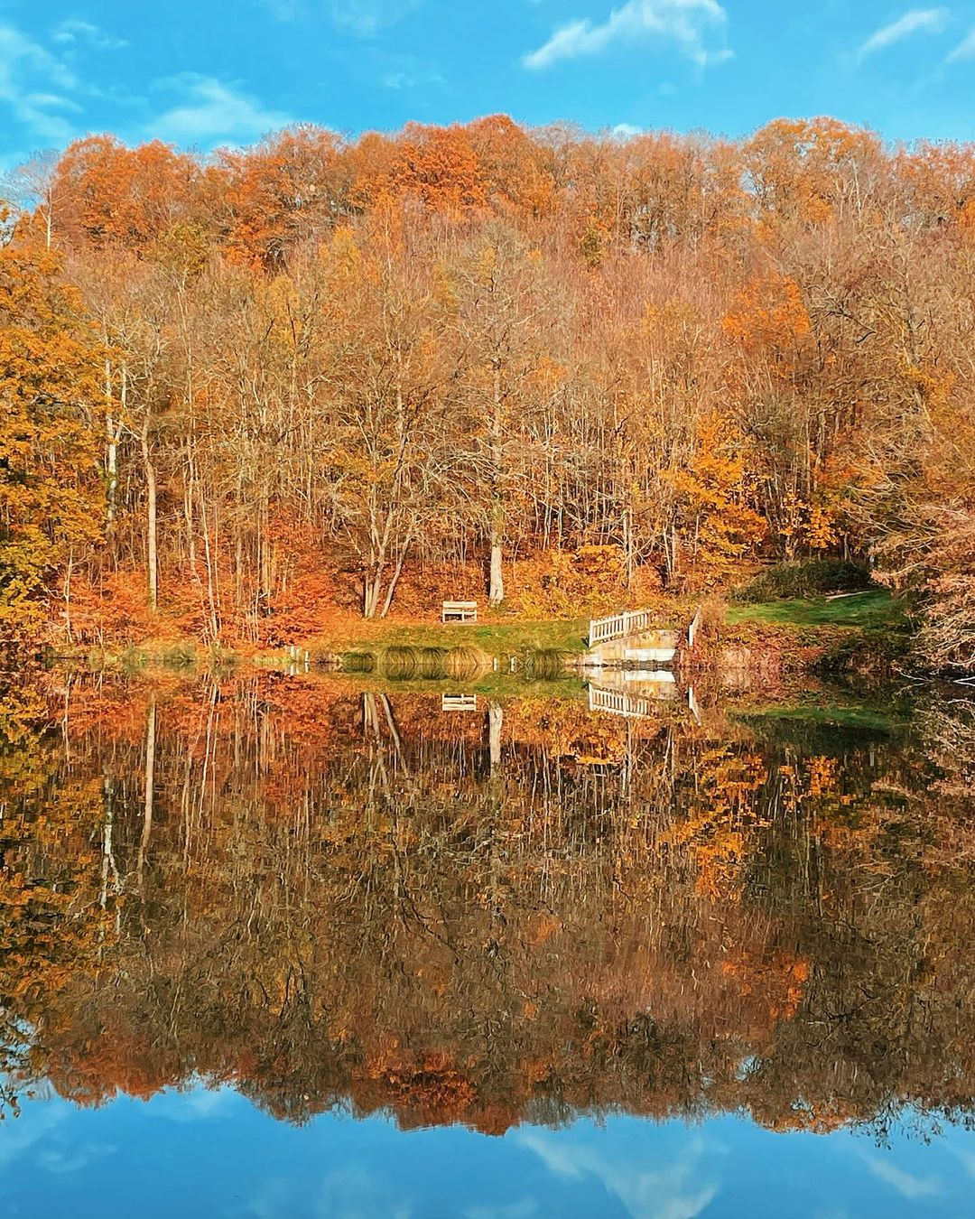 Plaisir à l'automne