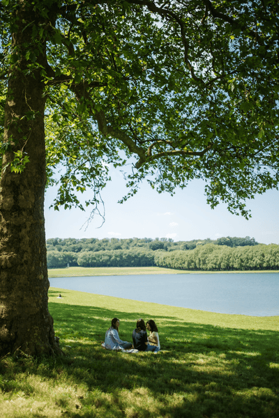 Pique nique à la Pièce d'eau des Suisses Versailles