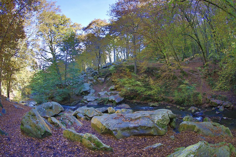 Vallée de chevreuse à l'automne