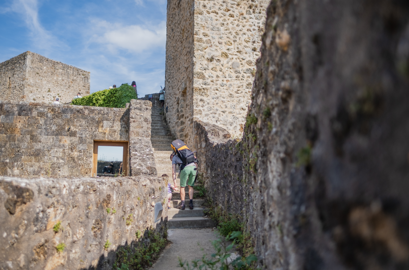 Château de la Madeleine été