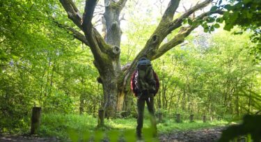 Forêt régionale de Rosny_Rosny-sur-Seine