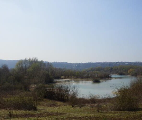 Étang du Domaine écologique de Flicourt