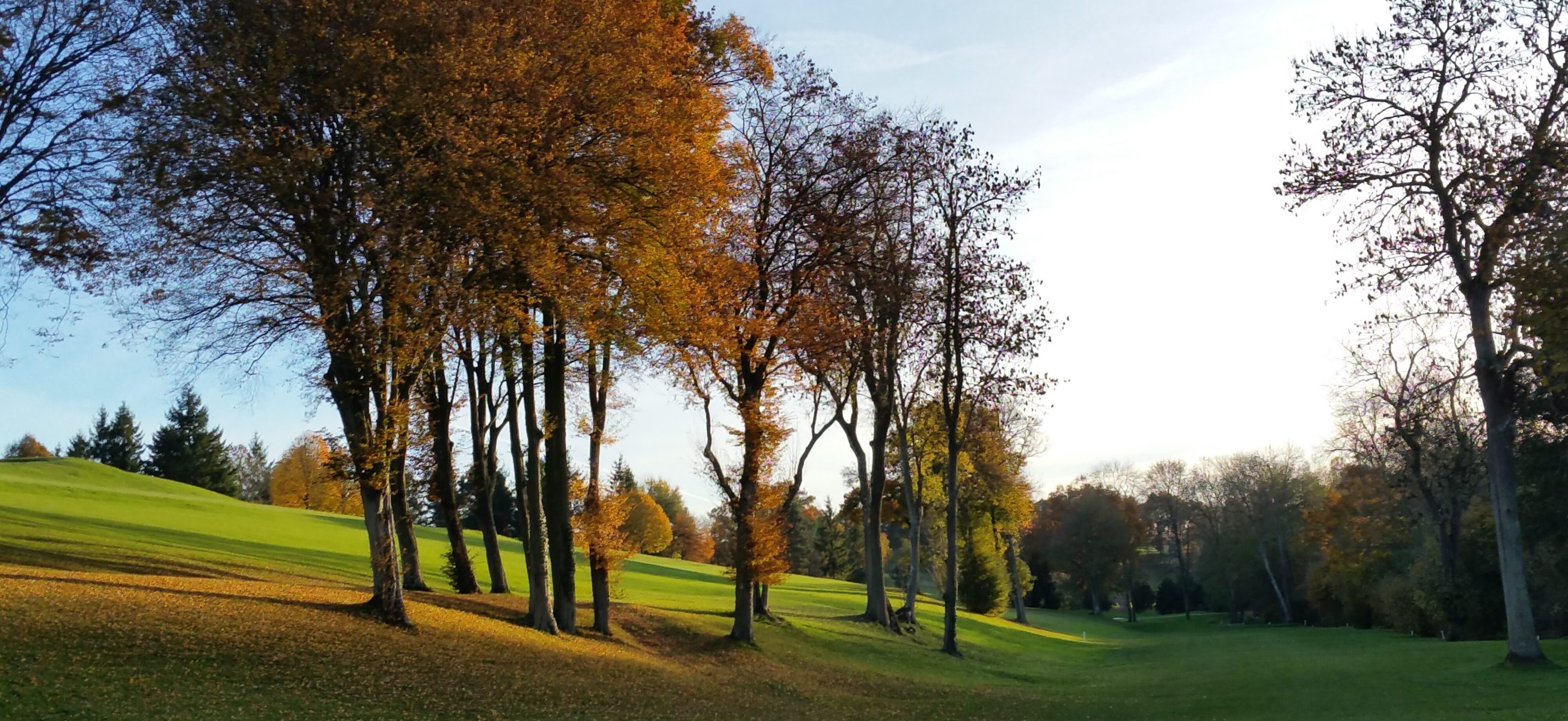 Golf de la Vaucouleurs