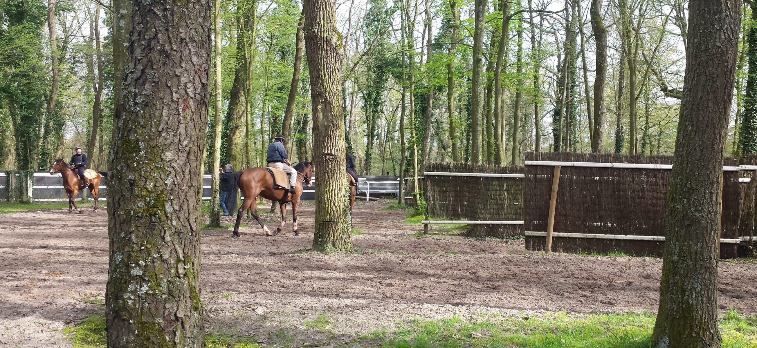 Le Manège Nativelle