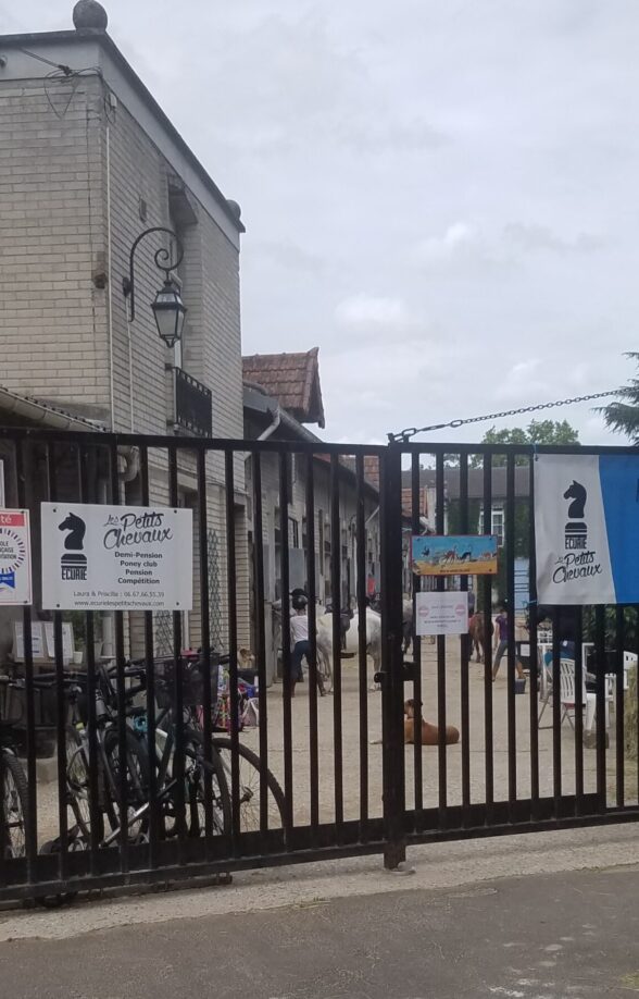 Ecurie les Petits Chevaux