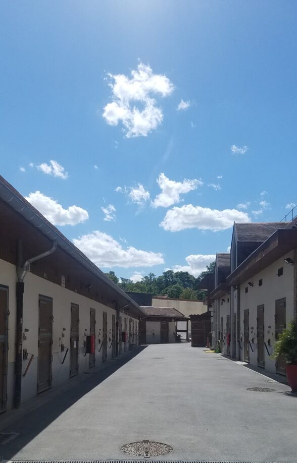 US Métro Equitation