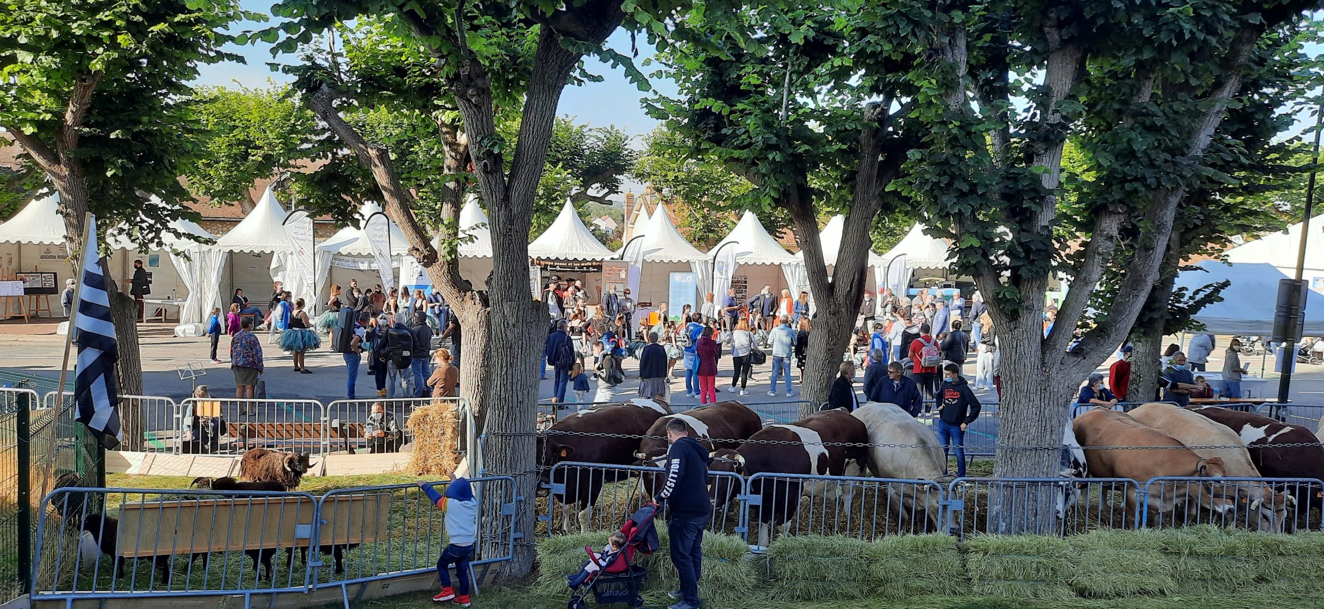 Foire Saint Matthieu