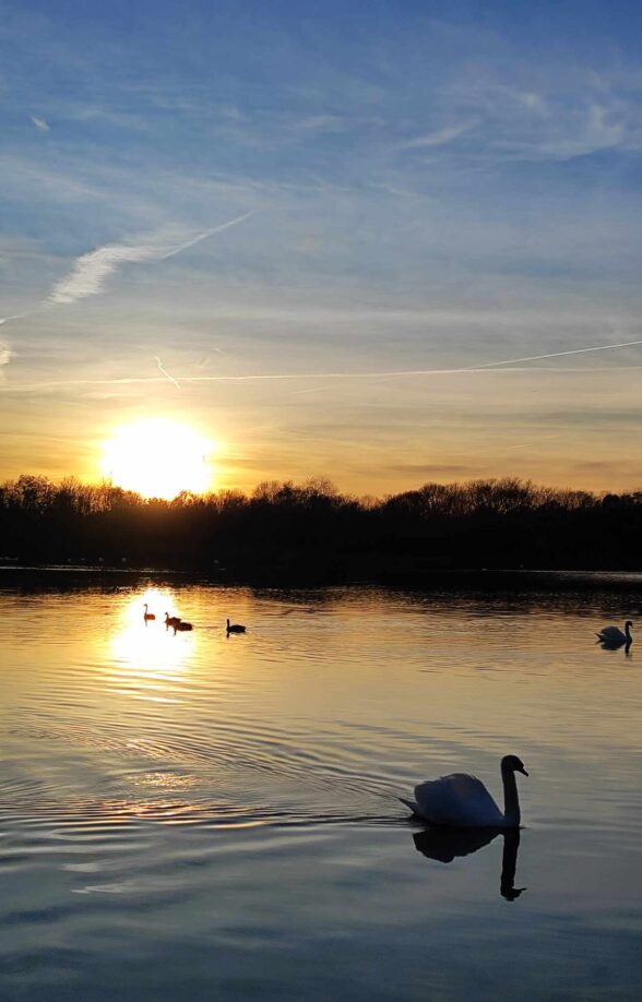 Réserve Naturelle Nationale des Etangs et Rigoles d'Yveline_Trappes