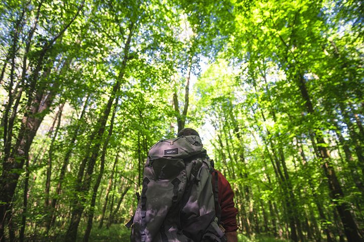 Forêt régionale de Rosny_Rosny-sur-Seine