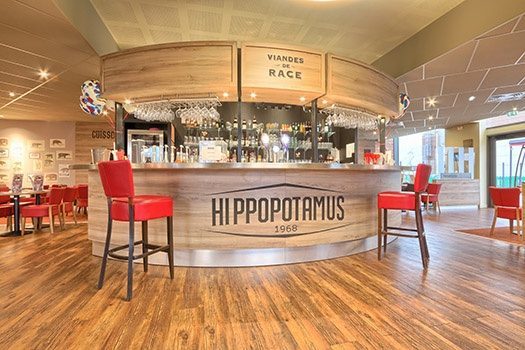 Hippopotamus