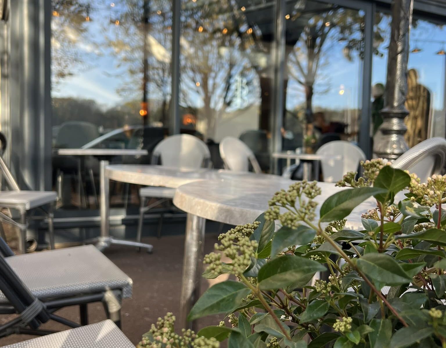 Terrasse du Bijou Bar