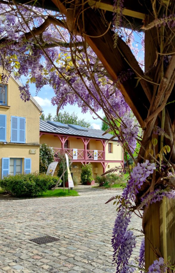 Musée Fournaise