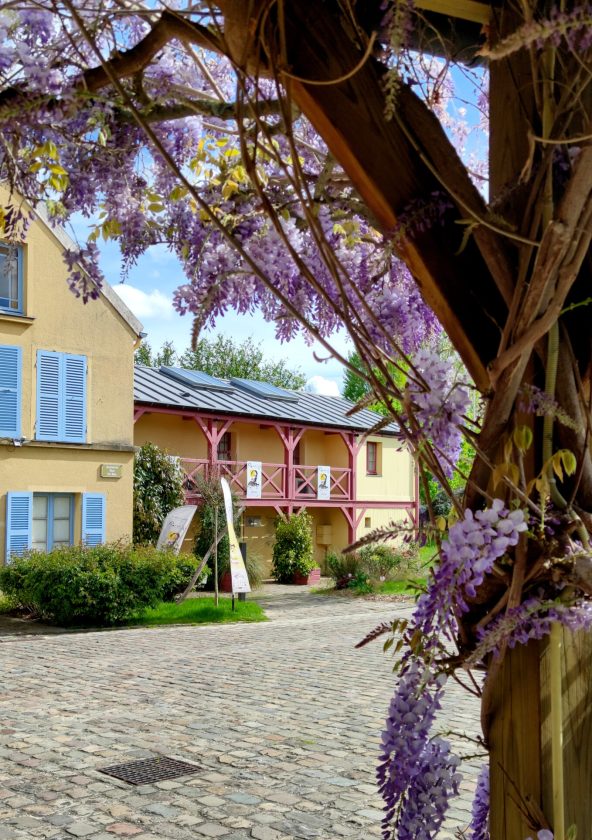 Musée Fournaise