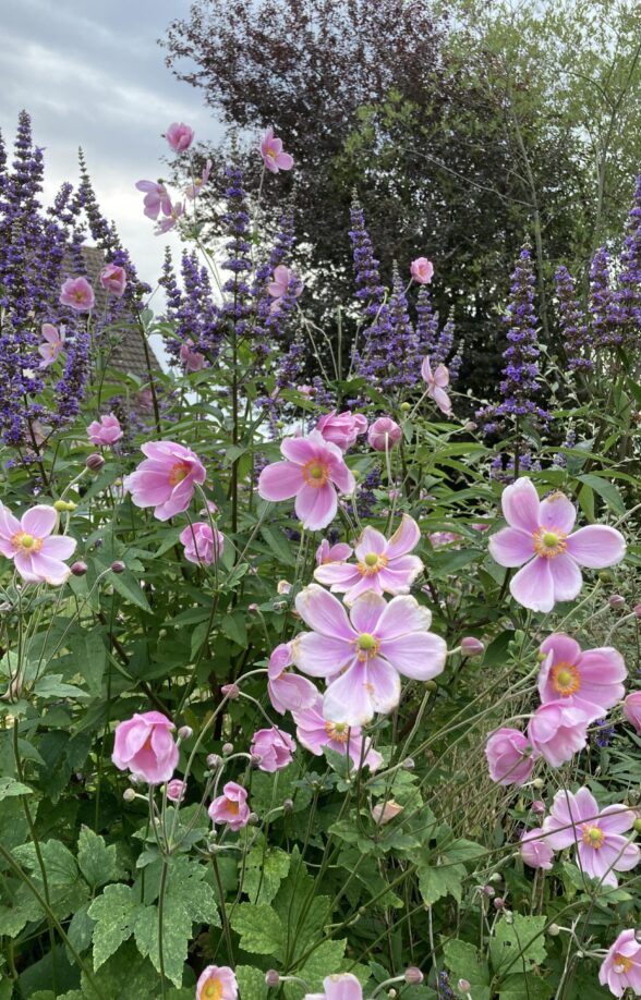 Au jardin