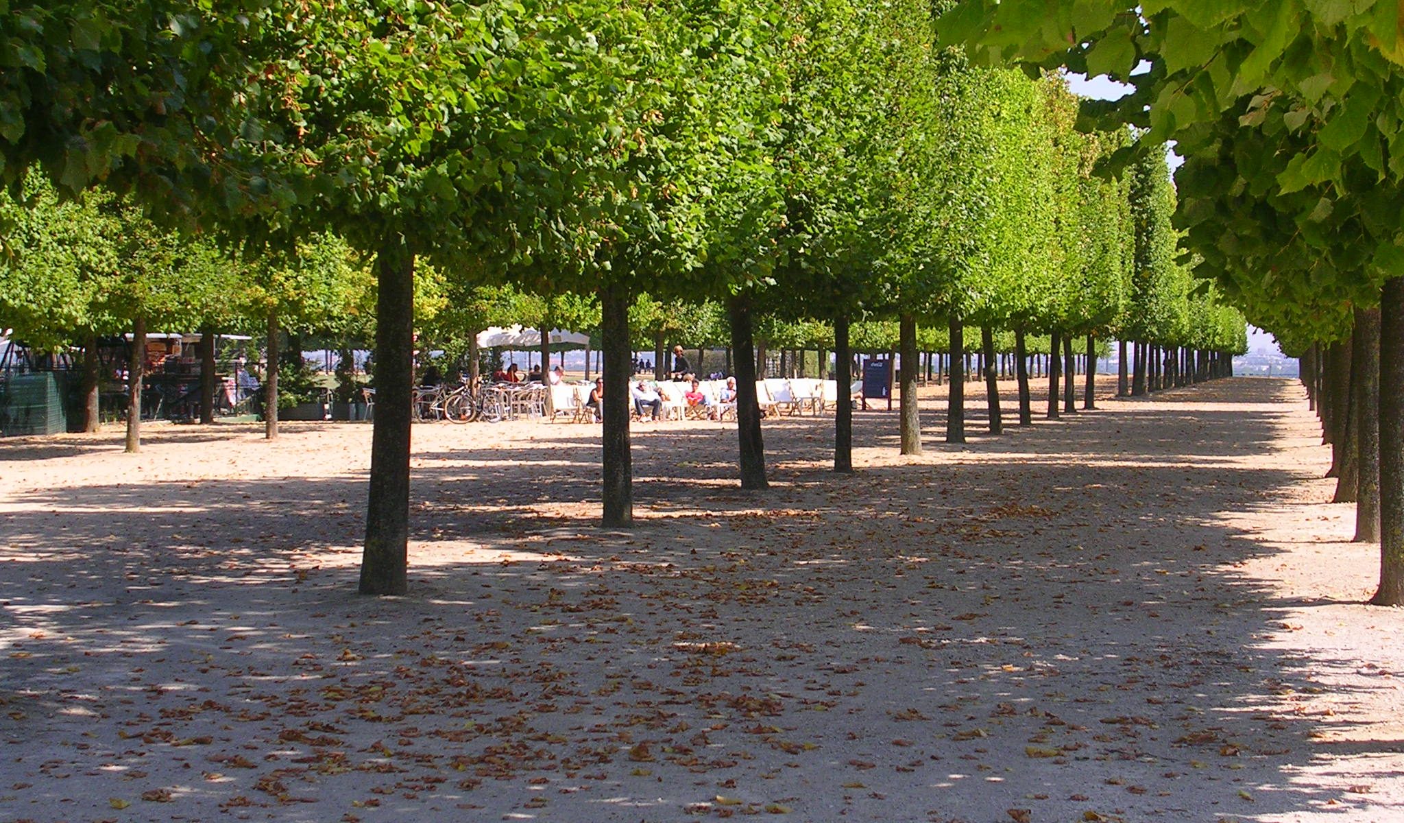 Domaine national de Saint-Germain-en-Laye