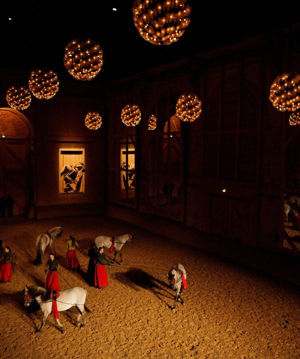 Académie équestre nationale du Domaine de Versailles