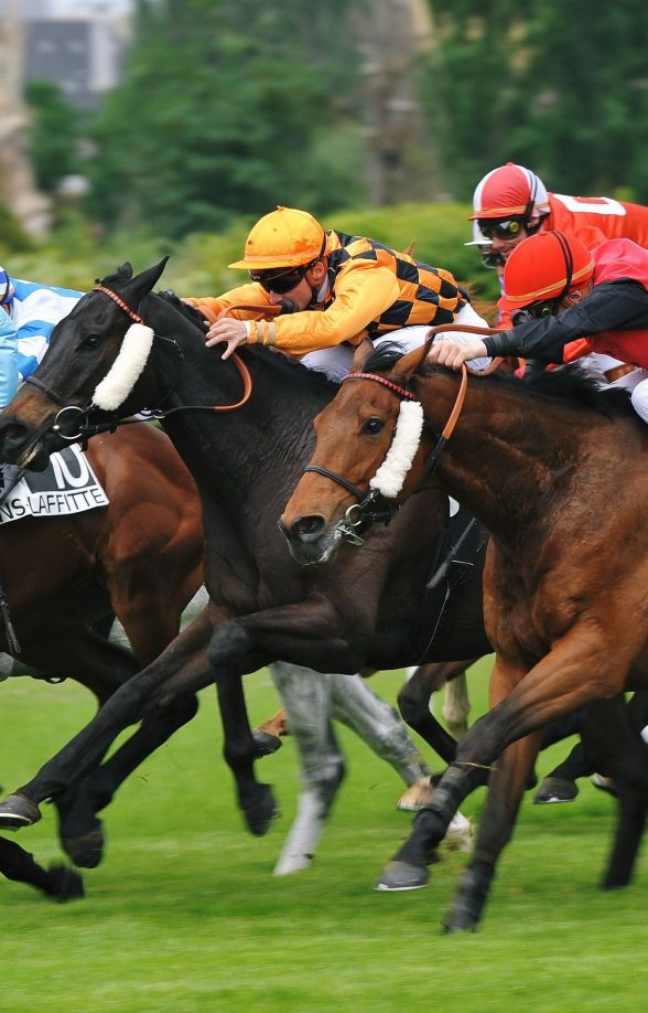 Course hippodrome Maisons-Laffitte