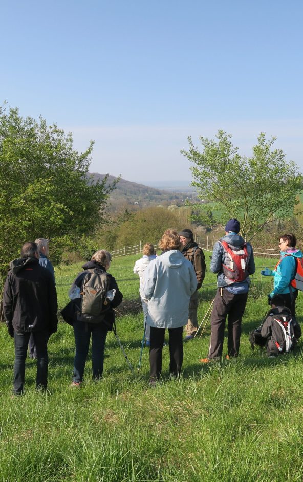 Balades du dimanche dans le Vexin français