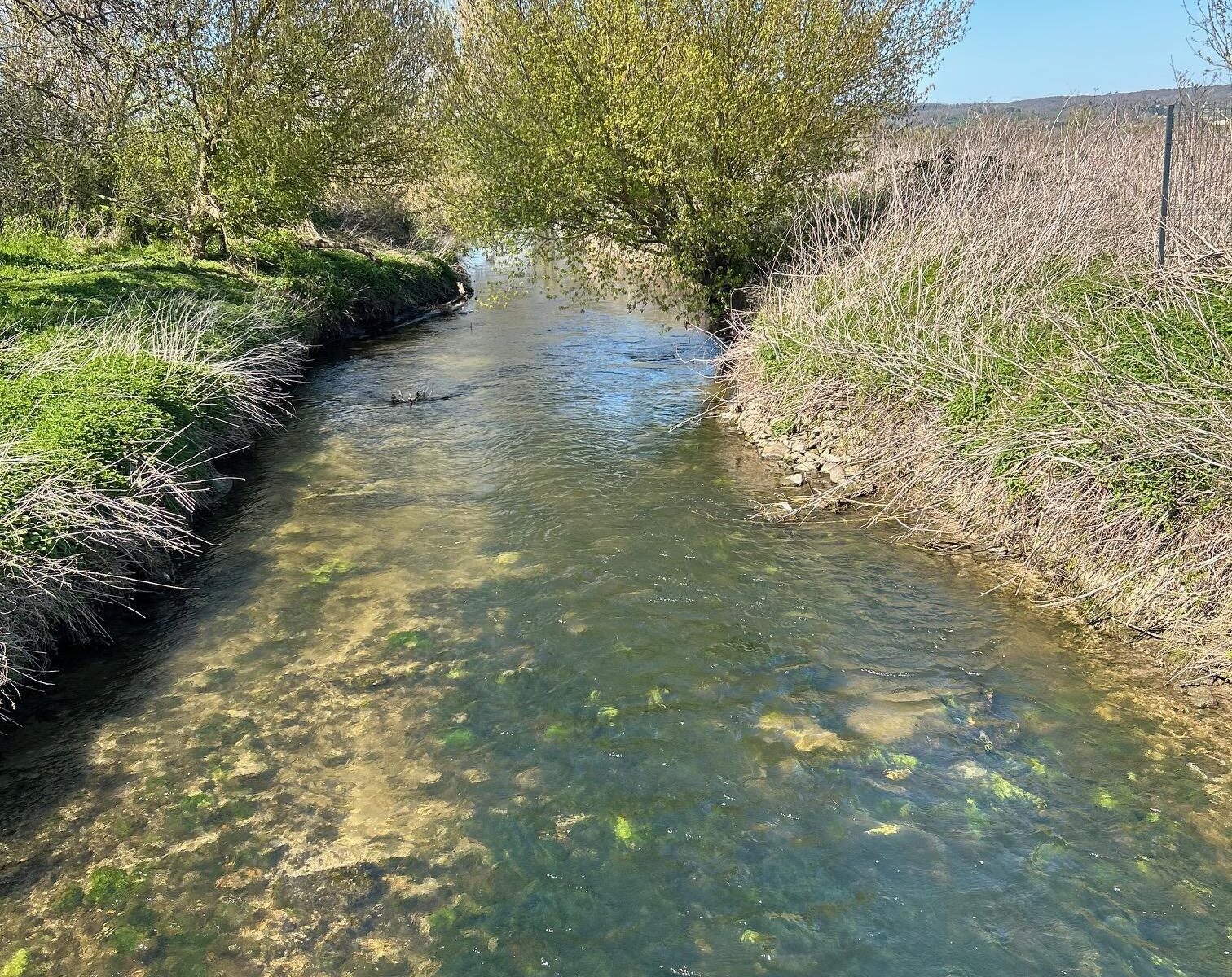 Biotope du Bout du Monde_Épône