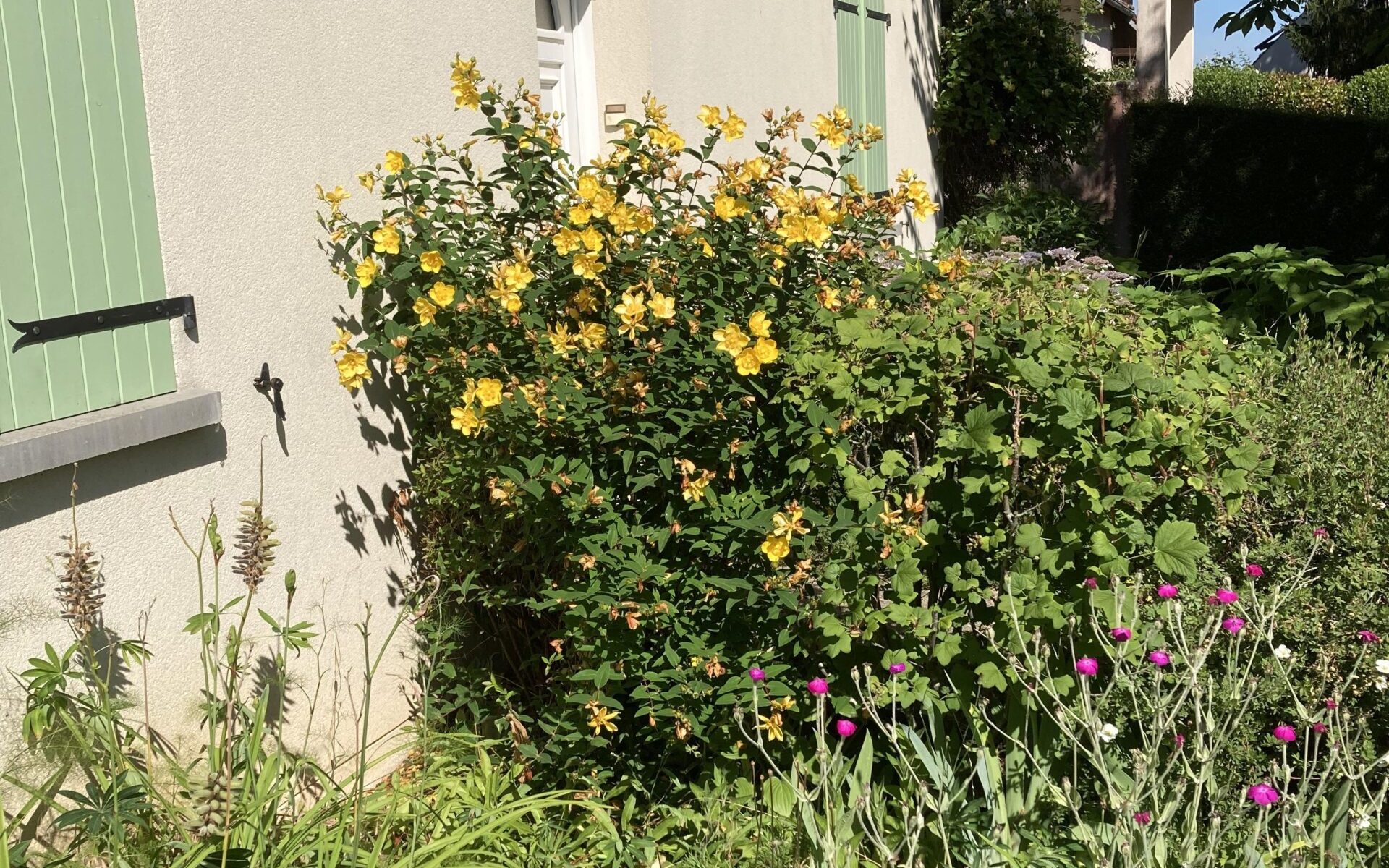 Jardin