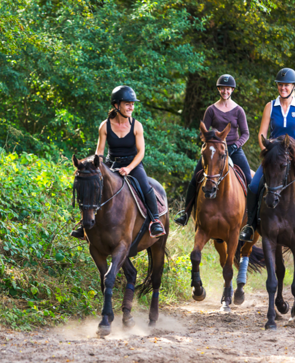 Horse Holidays Maisons Laffitte