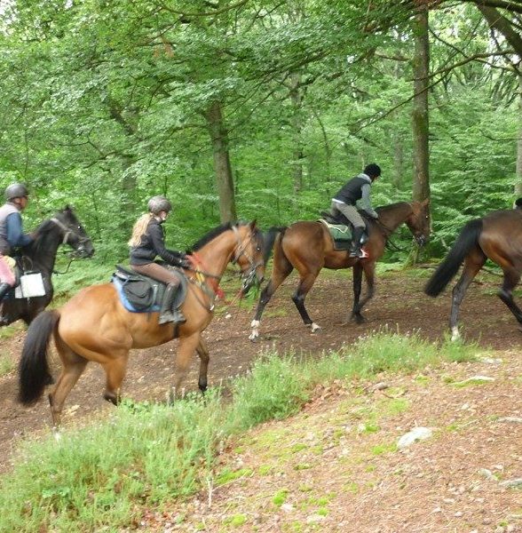 Centre équestre de la Forêt de Rambouillet