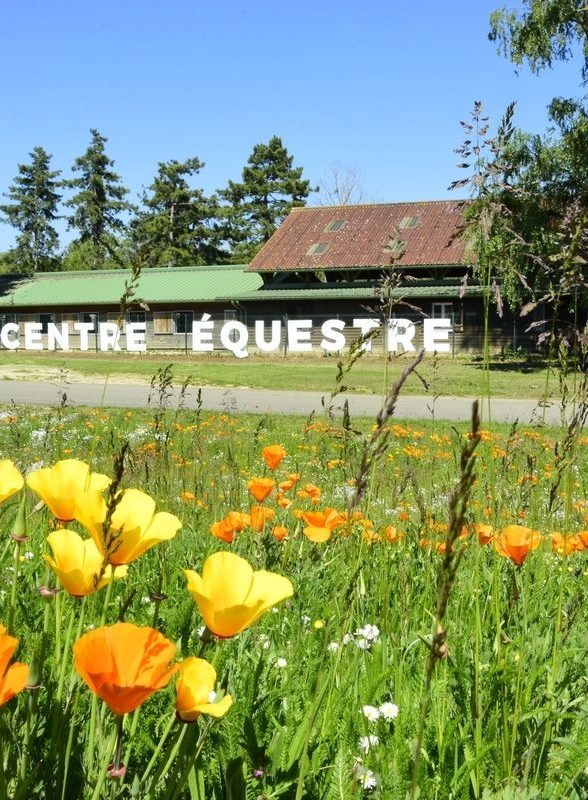 Centre équestre Ile de loisirs Val de Seine