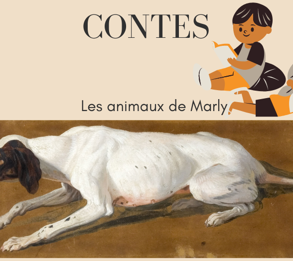 Contes